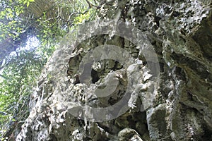 Beautiful nature rocks cliff in tropical jungle