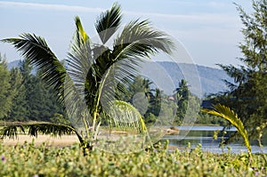 Beautiful in nature, rural area located in Terengganu, Malaysia