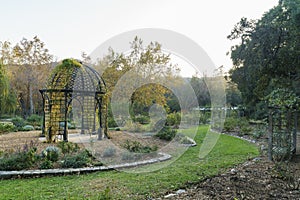 Beautiful nature scene around Descanso Garden photo