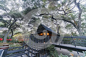 Beautiful nature scene around Japanese Garden in Descanso Garde photo