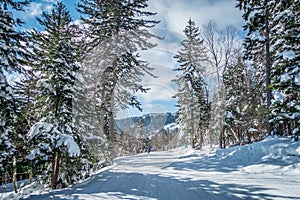 Beautiful nature and scenery around snowshoe ski resort in cass