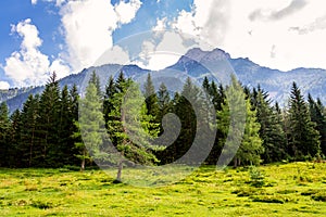 Beautiful nature scenery at Lake Pillersee with deep forest and Seehorn mountain, Sankt Ulrich am Pillersee, Austria, sunny summer