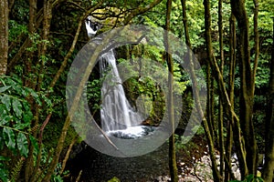 Beautiful nature scenery from the Ribeira do Faial da Terra Waterfall