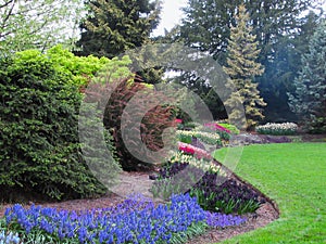 Beautiful Nature Scenery In Vancouver Park Garden In Spring 2019