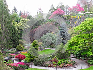 Beautiful Nature Scenery In Vancouver Park Garden In Spring 2019