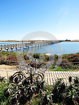 Beautiful Nature Scenery, Wooden Bridge, River, Bikes