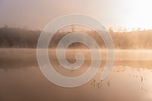 Beautiful nature scenic landscape view at peaceful lake in the morning