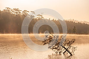 Beautiful nature scenic landscape view at peaceful lake in the morning