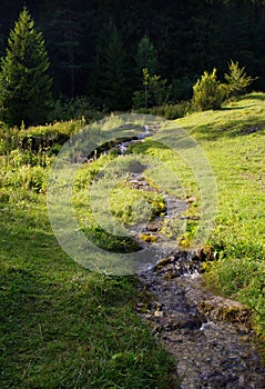 Beautiful nature with stream and meadow under the forest. Creek with Natural panoramic background. Enviromental and Relaxation.