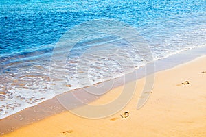 Beautiful Nature Summer Beach Background, selective focus