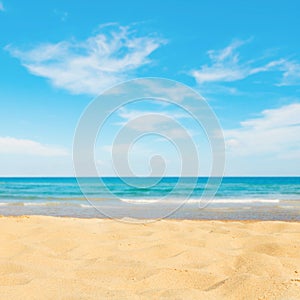 Beautiful Nature Summer Beach Background, selective focus