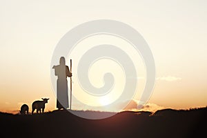Beautiful nature at sunset, and the sheep and the lamb, the good shepherd, Jesus Christ