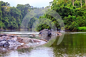 The beautiful nature of Surinam photo