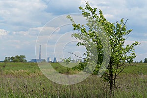 Beautiful nature, tree on meadow and heat electric power station at background