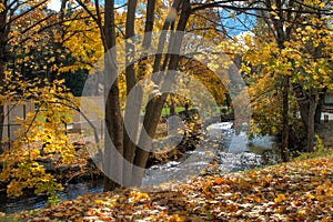 Beautiful nature view with river in Stafford Springs Connecticut