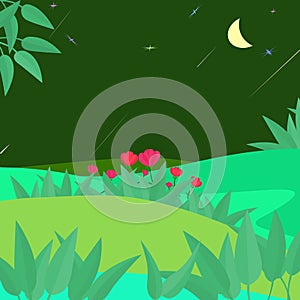 Beautiful nature and well weather environment night with red flower plants vector illustration art design, abstract background