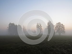 Beautiful Nature Wild Landscape During Sunrise with Foggy Mist