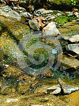 Beautiful naturescape of a creek with bubbling water photo