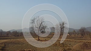 Beautiful netural scenery of the India