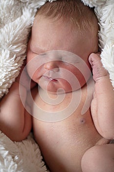 A beautiful new born baby sleeping in a fur blanket