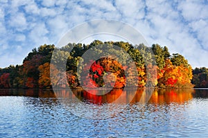 Beautiful New England Fall Foliage with reflections at sunrise, Boston Massachusetts.