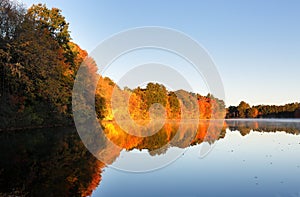 Beautiful New England Fall Foliage with reflections at sunrise, Boston Massachusetts.