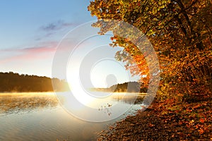 Beautiful New England Fall Foliage with reflections at sunrise, Boston Massachusetts.