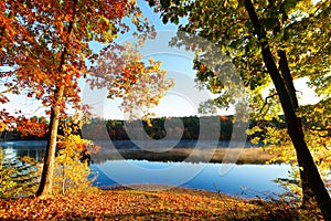 Beautiful New England Fall Foliage with reflections at sunrise, Boston Massachusetts.