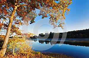 Beautiful New England Fall Foliage with reflections at sunrise, Boston Massachusetts.