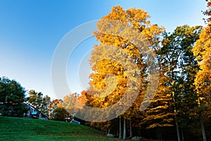 Beautiful New England Fall Foliage with reflections at sunrise, Boston Massachusetts.