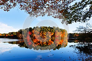 Beautiful New England Fall Foliage with reflections at sunrise, Boston Massachusetts.