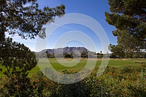 Beautiful new modern golf course fairway in Arizona