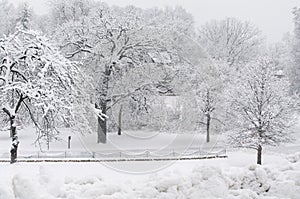 Beautiful New Snow with Fence