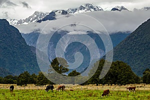 A beautiful New Zealand landscape