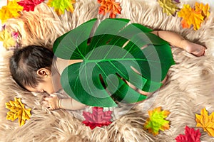 Beautiful newborn baby or infant baby girl sleeping on soft carpet and use big green leaf cover her body with top view. Cute