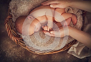 Beautiful newborn baby studio portrait sleeping in a basket over brown background in mother hands