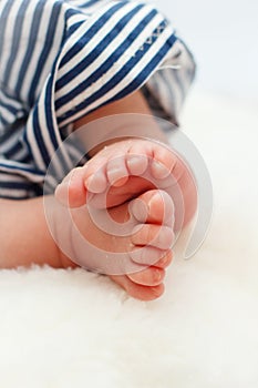 Beautiful newborn feet