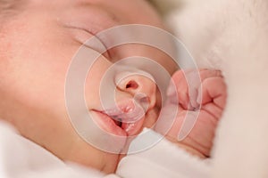 Beautiful Newborn infant baby boy sleeping