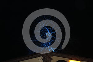 A beautiful night sky with tree.