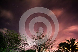 Beautiful night sky and tree.