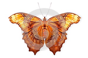 Beautiful Noble Leafwing butterfly isolated on a white background with clipping path