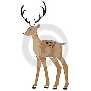 Beautiful noble sketch deer are ruminant mammal in family Cervidae. Side view. hand drawn picture sketchy.