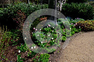 Beautiful nook in the spa park with light paths and flowering shrubs perennials and bulbs in a colorful combination of colors. tra