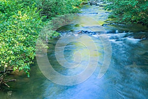 Beautiful North Creek Located in the Jefferson National Forest, USA.