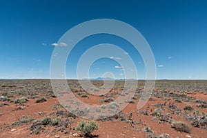 Beautiful Northern Arizona high desert vista in springtime