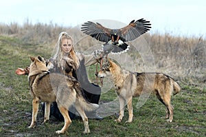 Beautiful northern warrior woman in viking clothes with wolves and Harris Hawk Parabuteo unicinctus. photo