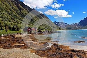 Beautiful Norwegian Landscape with a Lake and Red Houses