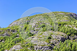 Beautiful Norwegian landscape with trees firs mountains rocks. Norway Nature