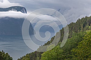 Beautiful Norwegian landscape. view of the fjords. Norway ideal fjord reflection in clear water. selective focus