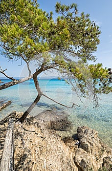 Beautiful Notre Dame beach (Plage Notre-Dame) on Porquerolles island (l\'le de Porquerolles), France